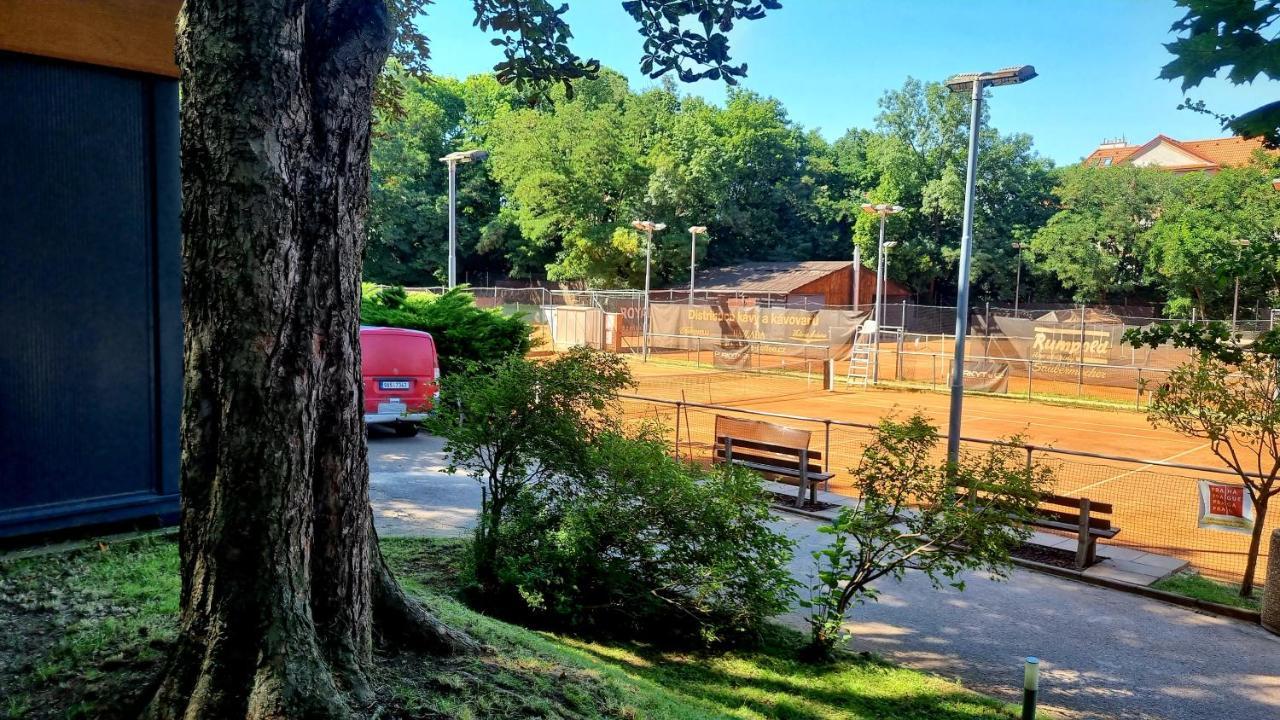 Cibulka Kamp alanı